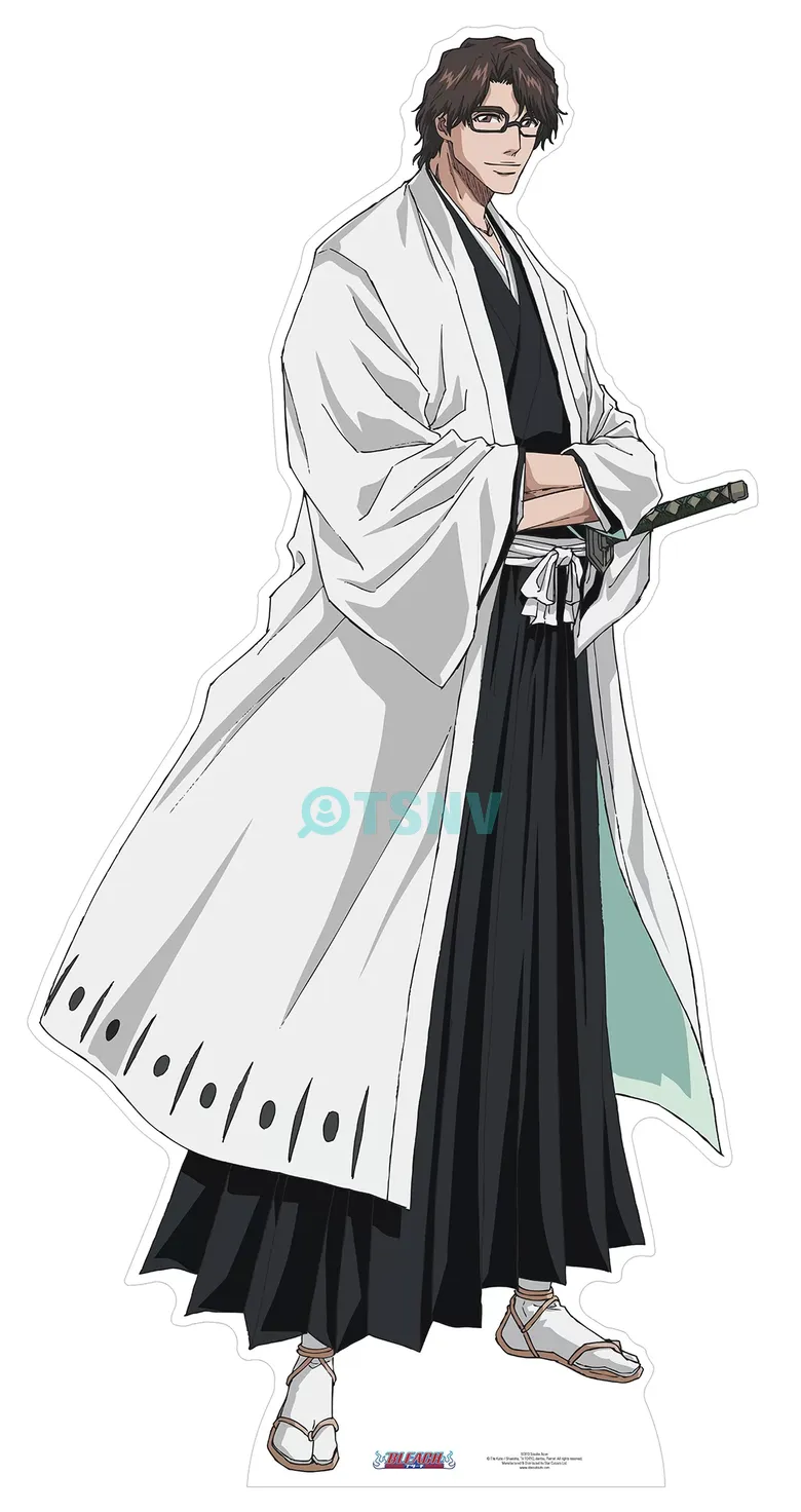 Ngoại hình Aizen Sosuke