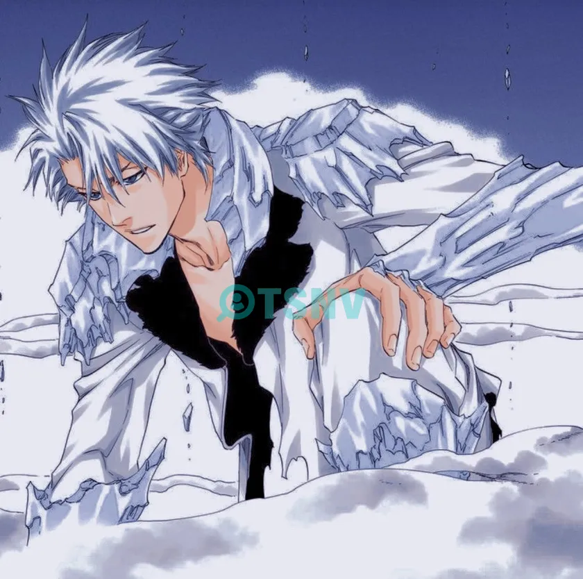 Hình dạng trưởng thành của Hitsugaya Toshiro