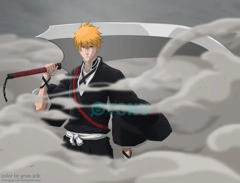 Kurosaki Ichigo là ai