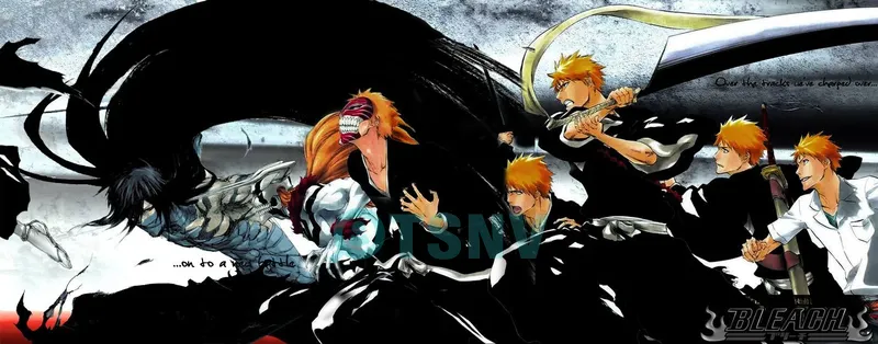 Kurosaki Ichigo là ai