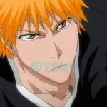 Kurosaki Ichigo là ai