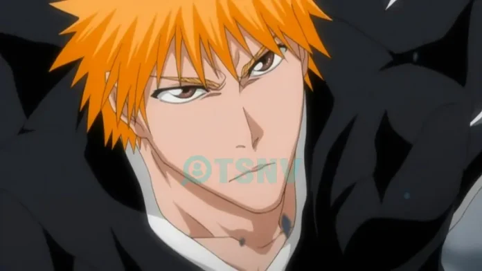 Kurosaki Ichigo là ai