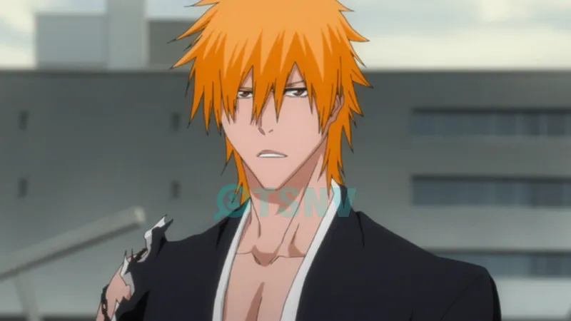 Kurosaki Ichigo là ai