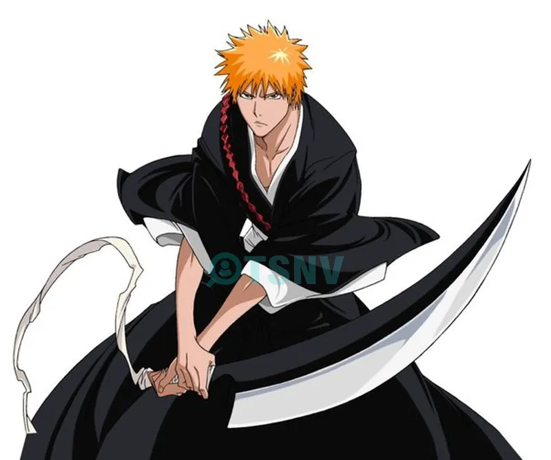 Kurosaki Ichigo là ai