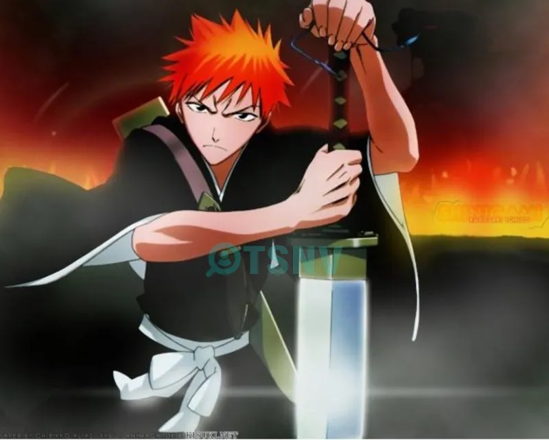 Kurosaki Ichigo là ai