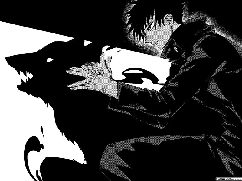 Tiểu sử nhân vật: Megumi Fushiguro là ai ?