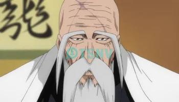 Genryusai Shigekuni Yamamoto – Tổng đội trưởng Gotei 13